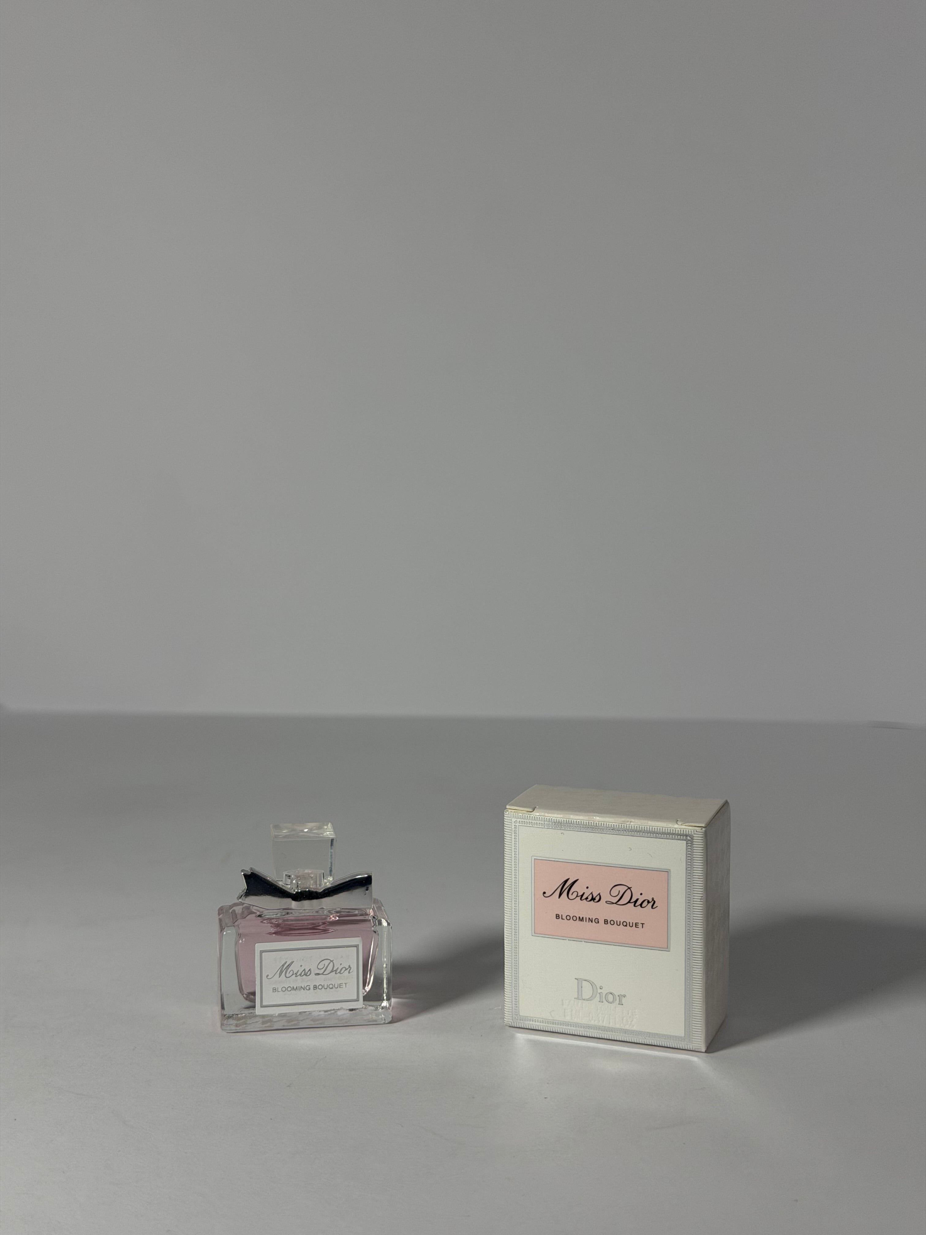 PAQUETE (10 PERFUMES MINIS)